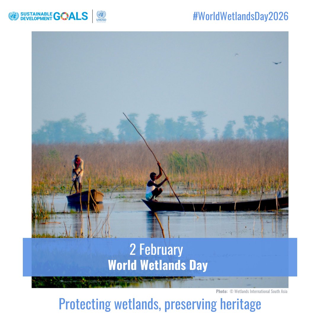 UN Office for Sustainable Development tweet media