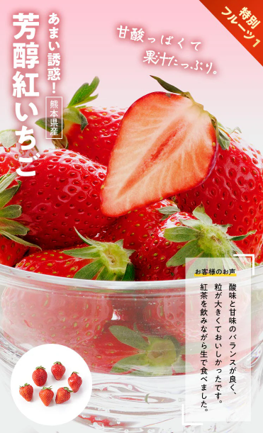 🍓🍊】旬の熊本県産いちご＆みかん入り！Oisixの1980円おためしセット