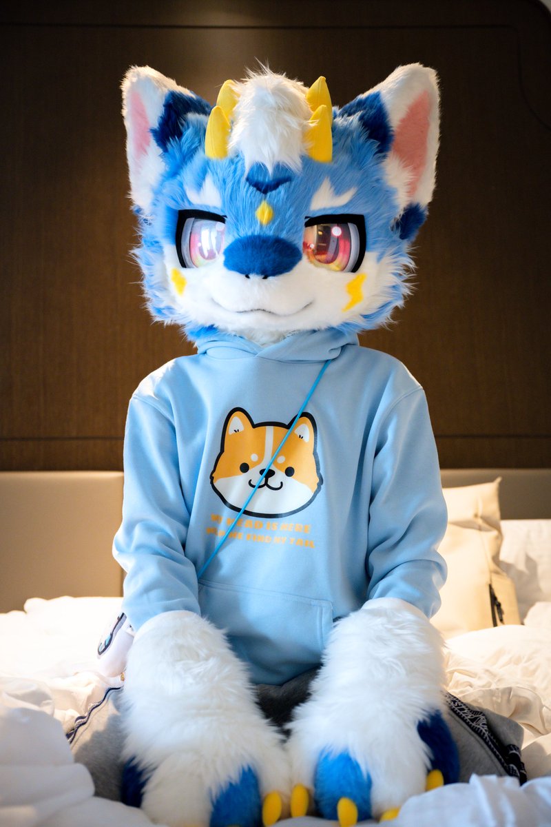 毛绒绒的逸龙 tweet media