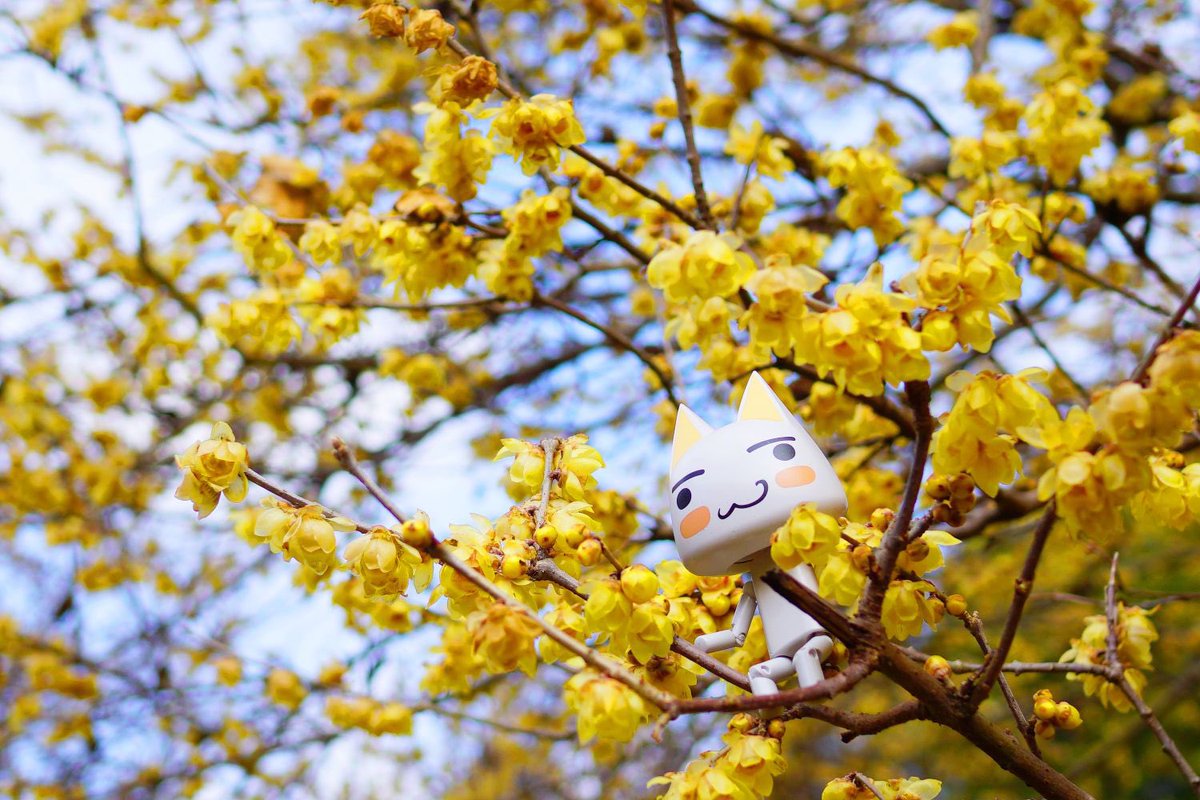 じゅんじゅん (@kagajun0321) / Posts / X