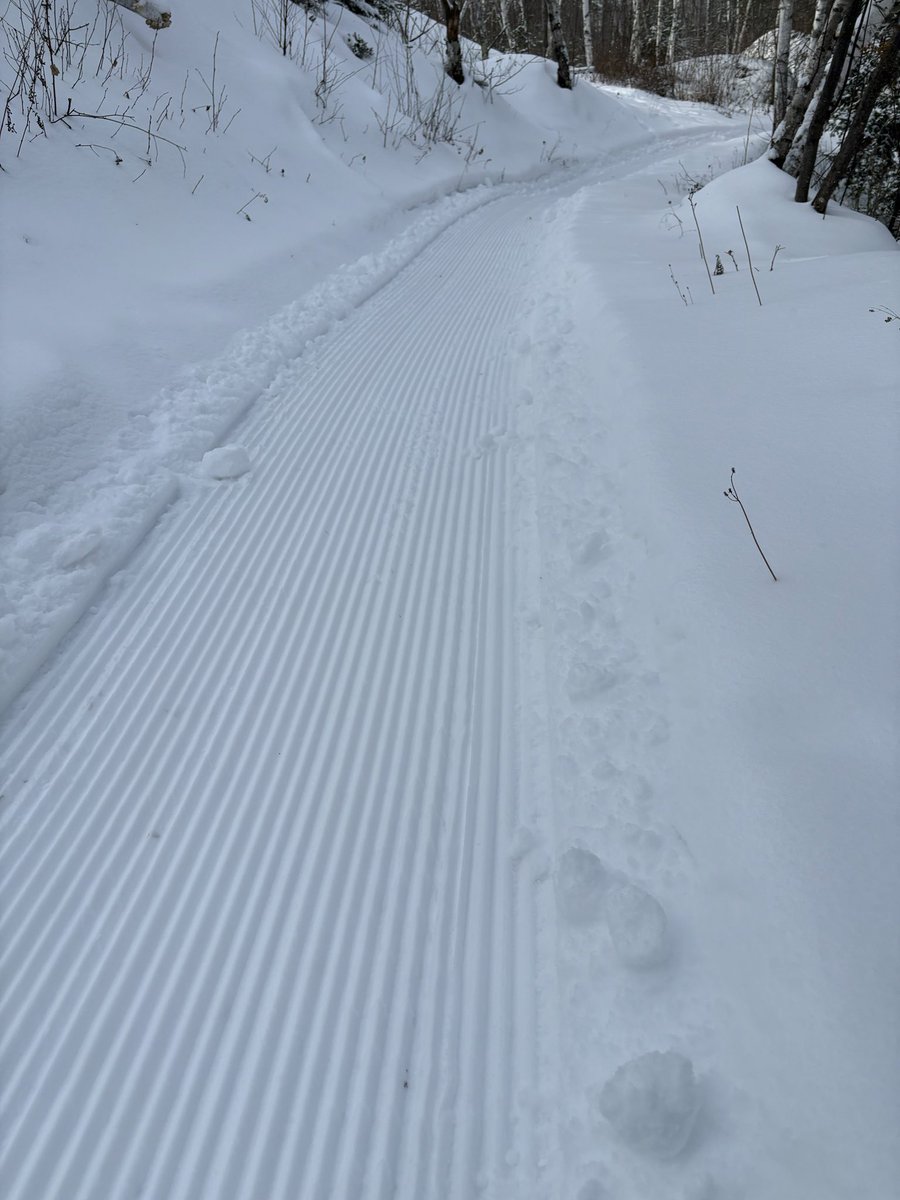 After our 2+ inches of new snow, I started grooming around 1:00. All trails were groomed. Some, twice. They should set up great for tomorrow. A big thank you to all the snowshoers that were out today and helped pack some of the trails in.