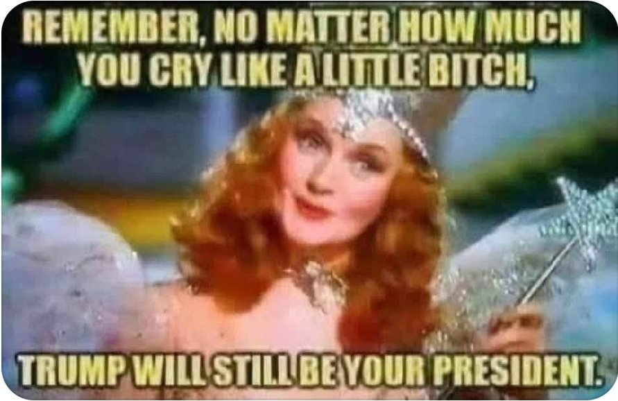 Freedom Whisperer tweet media