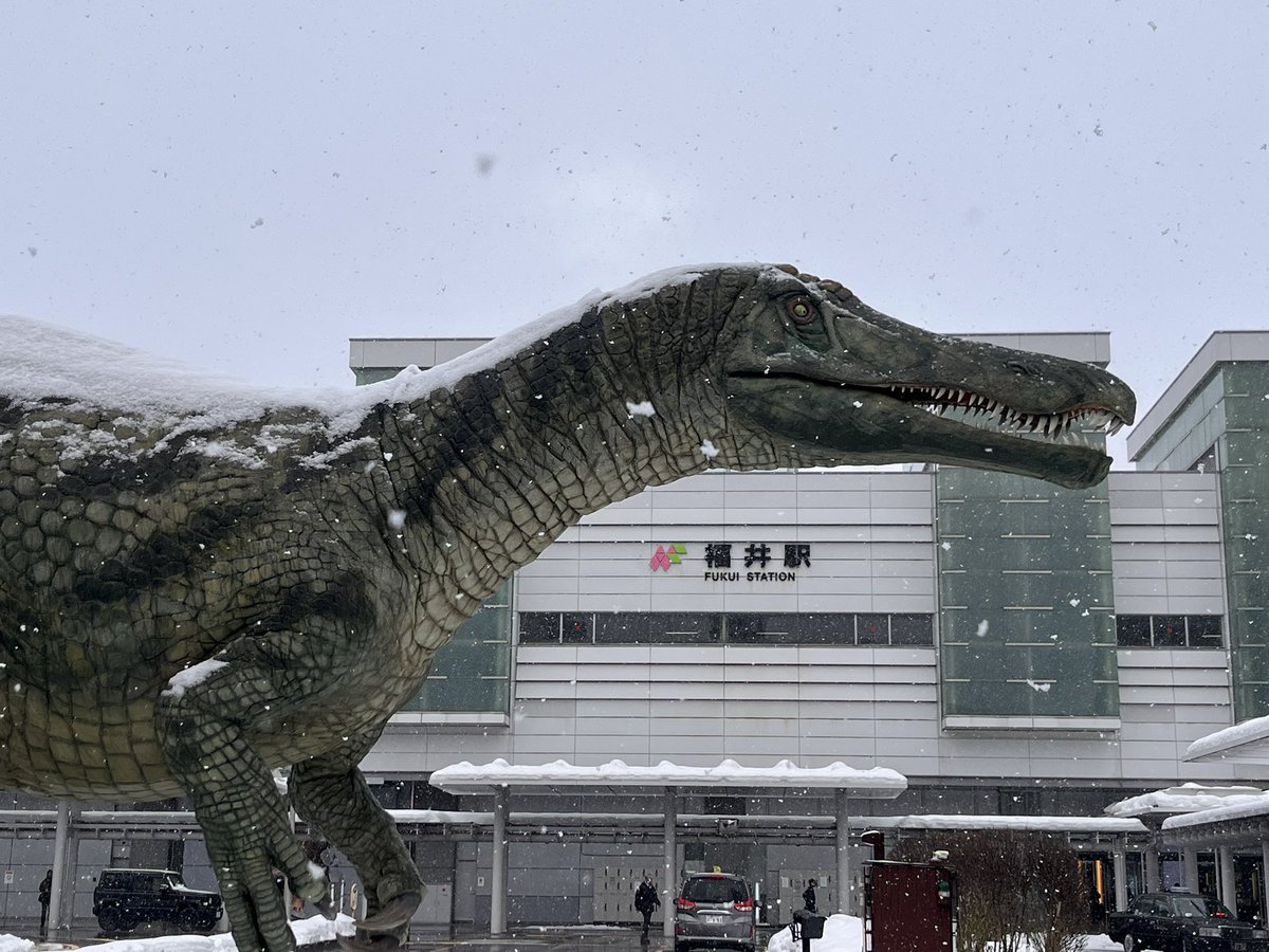 NIWA Nobuko tweet media