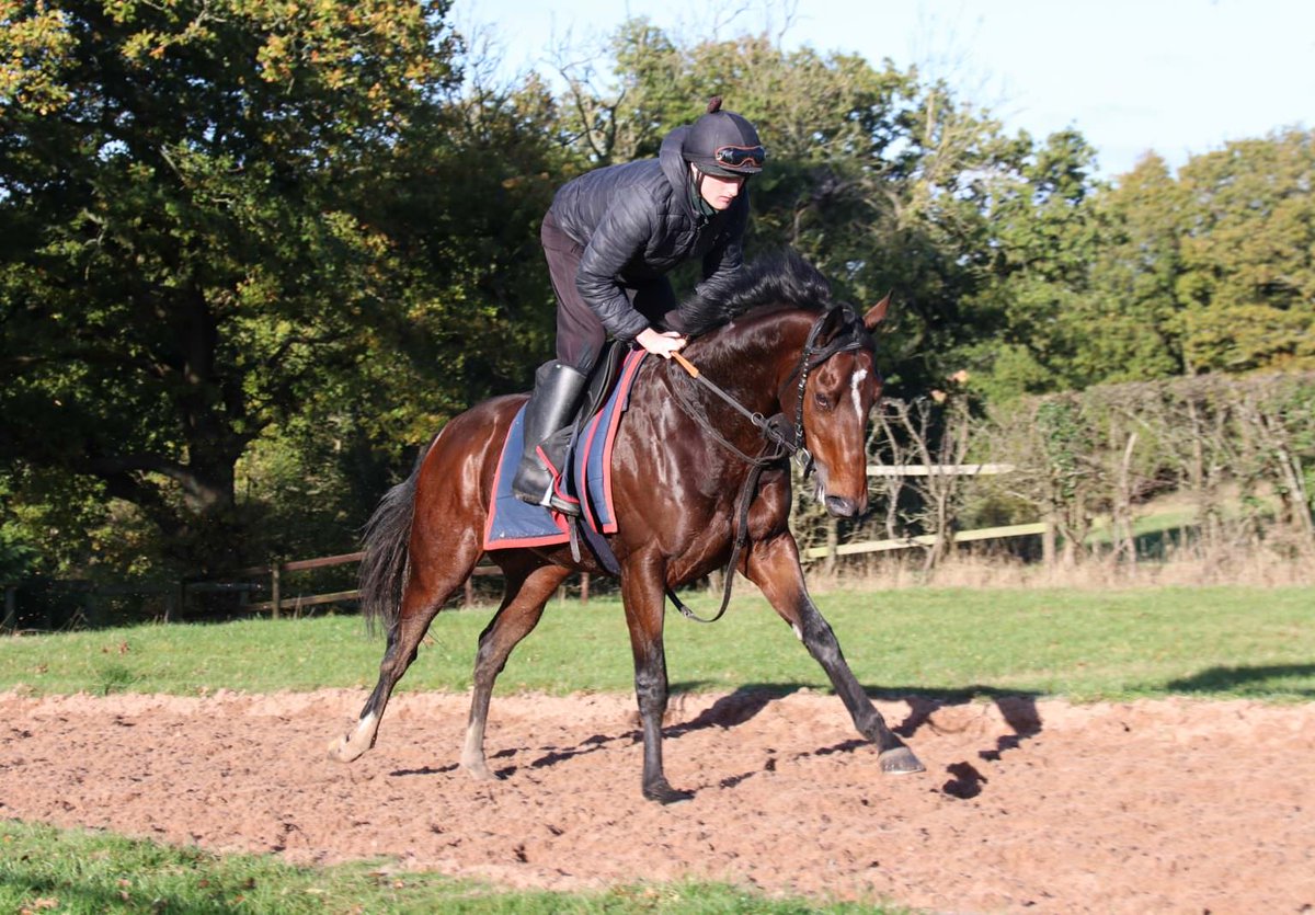 Ian Williams Racing tweet media