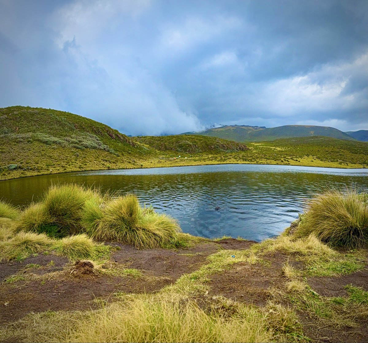 ZeddyBariti's tweet image. Postcards from Lake Ellis, perched at 3,455 metres on the eastern slopes of Mount Kenya. Before the maps named it, what did Africa call this lake?
