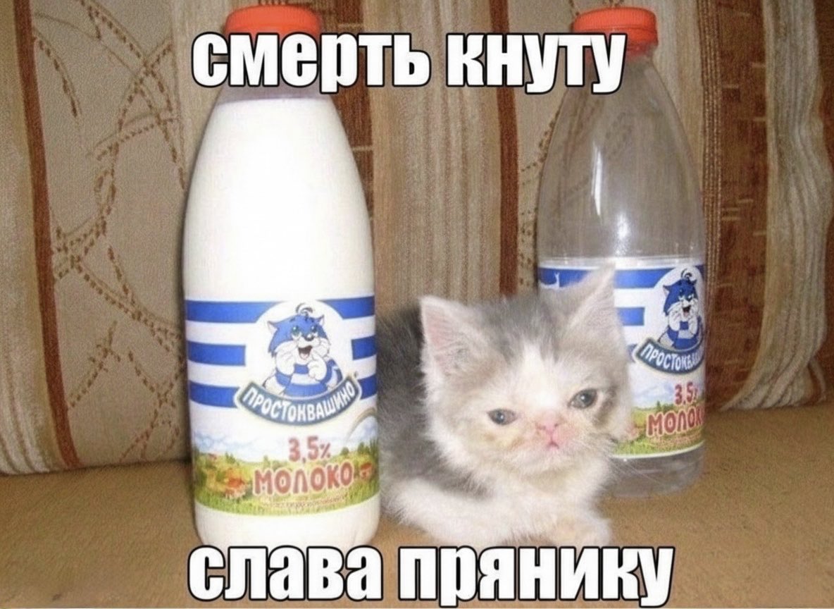 gemi_softy's tweet image. 