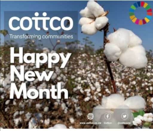 Cotton Company of Zimbabwe (Cottco) tweet media
