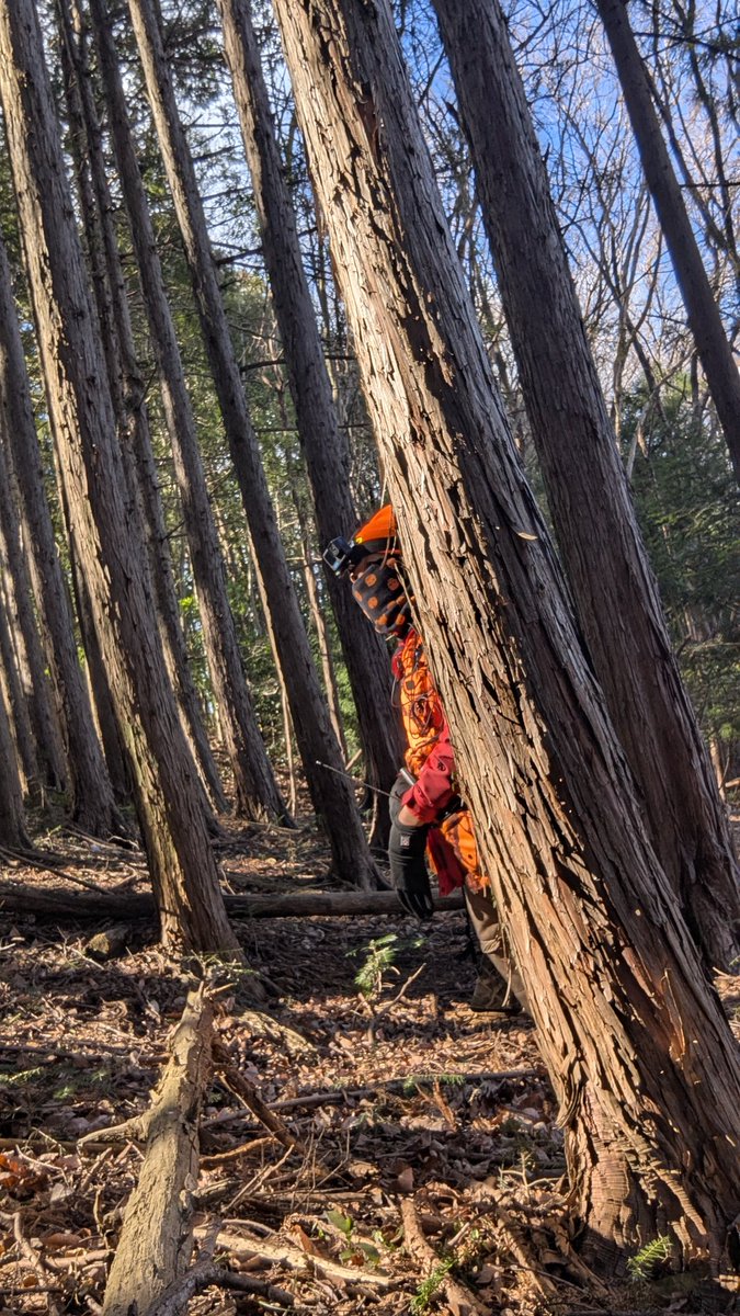 今日はYouTubeライブをやろうと思ってます🙇21時からですのでお時間ありましたら宜しくお願い致します🙇