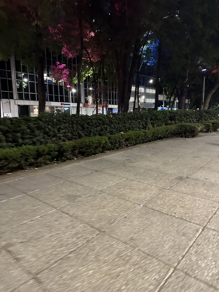 Alcaldesa <a href="/AlessandraRdlv/">Alessandra Rojo de la Vega</a> Jardines en Reforma hay campamentos, olor insoportable, esconden y viven detrás de arbustos, se acercan a intimidar, y se la pasan derogándose. Av Reforma 381, quien se encarga? <a href="/EnLaCuautemoc/">En La Cuautemoc</a> <a href="/lacuauhtemoc/">Colonia Cuauhtémoc</a> <a href="/carlota_cabral/">carlota cabral</a> <a href="/latinus_us/">Latinus</a> <a href="/LaColoniaJuarez/">La Colonia Juárez</a>