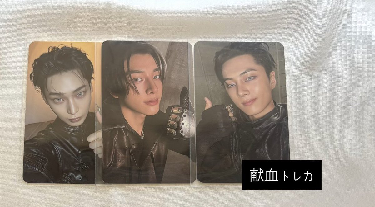 ᩚ아기 주먹밥 ᩚ tweet media