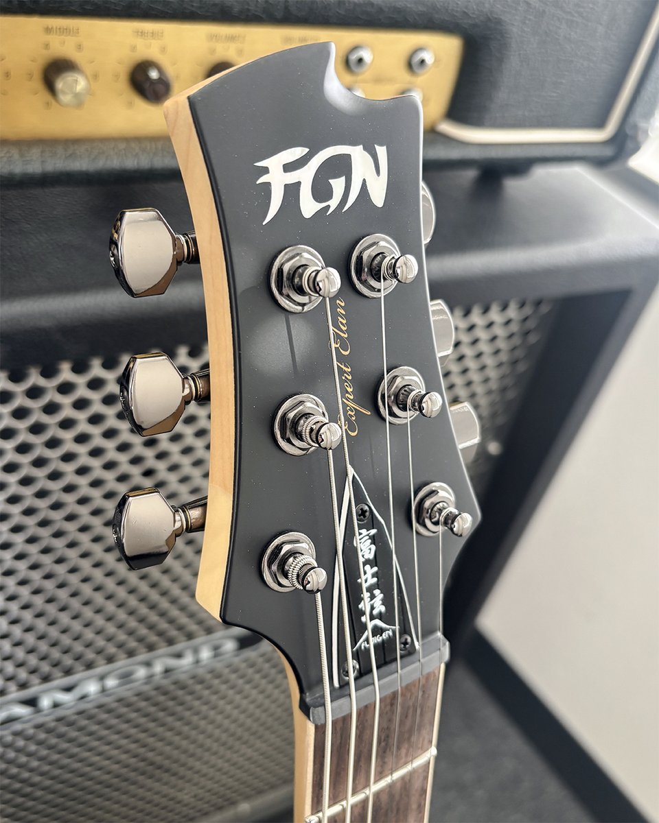 FUJIGEN・エレキギタ★SEYMOUR DUNCAN 突然ですが…EELって良くないですか…⁉️ Seymour Duncan® Blackouts