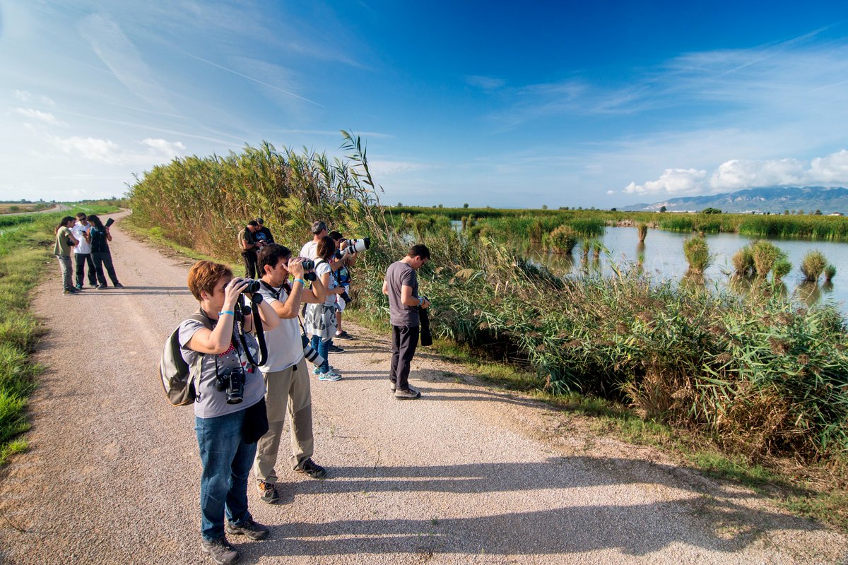 Humedales Delta Ebro tweet media