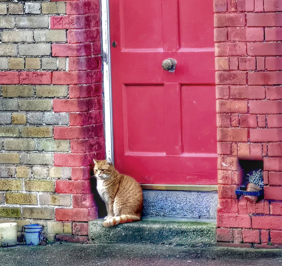 Good #morning #Dublin ya big ride 😘