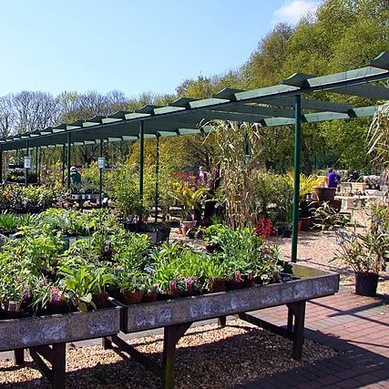 TheNatureFund's tweet image. More Than Half of Traditional UK Garden Plants Are Disappearing #gardenplants #gardening #gardendesign

naturalworldfund.org.uk/more-than-half…
