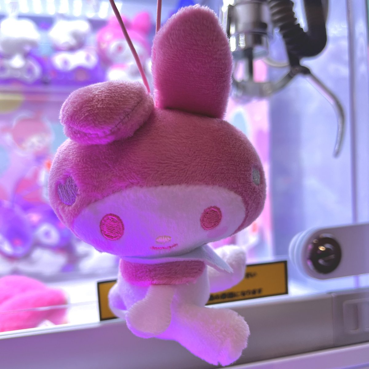 めろぴ♡サンリオ (@Melopi_xoxo) / Posts / X