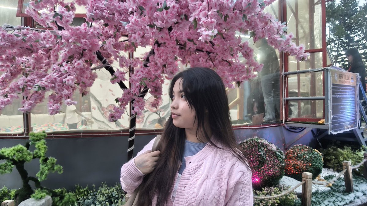 aoe_ayu's tweet photo. ᴄɪᴛʏ ᴏꜰ ᴘɪɴᴇꜱ 🌬️❄️✨🧥 https://t.co/UvxPoEL2ON
