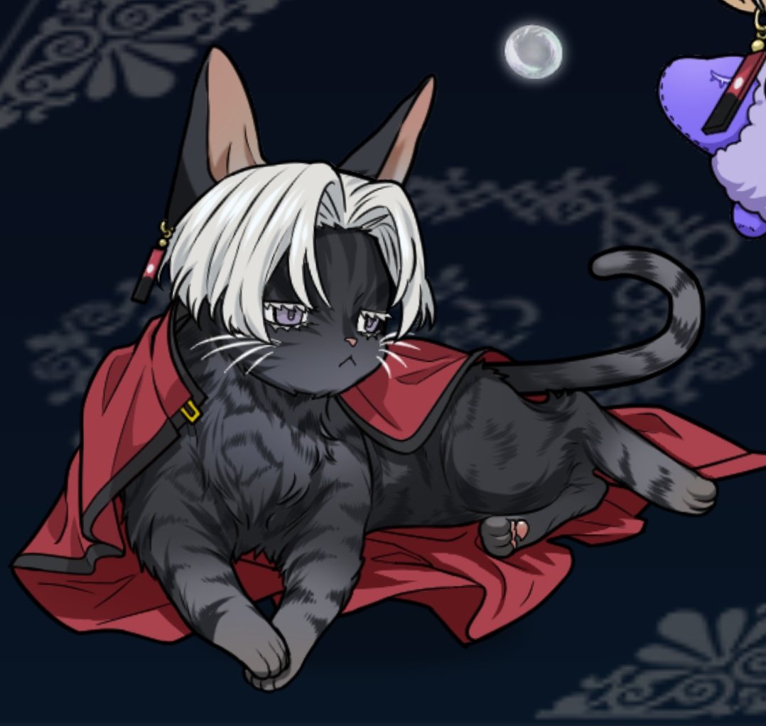 ついに800♡↑ 本当にありがとうございます！ よかったね🎴にゃんこ☺️