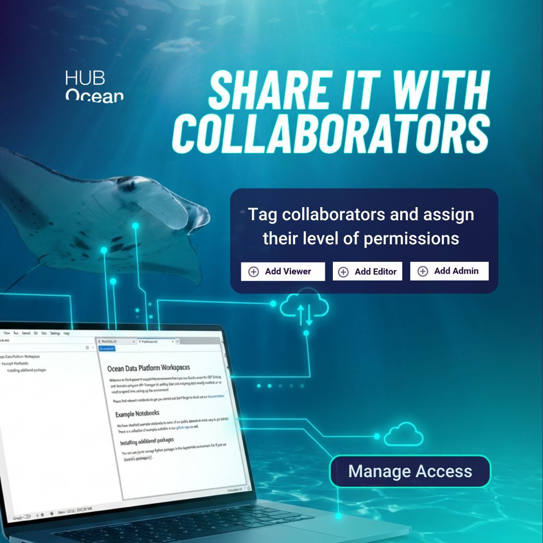 HUB Ocean tweet media