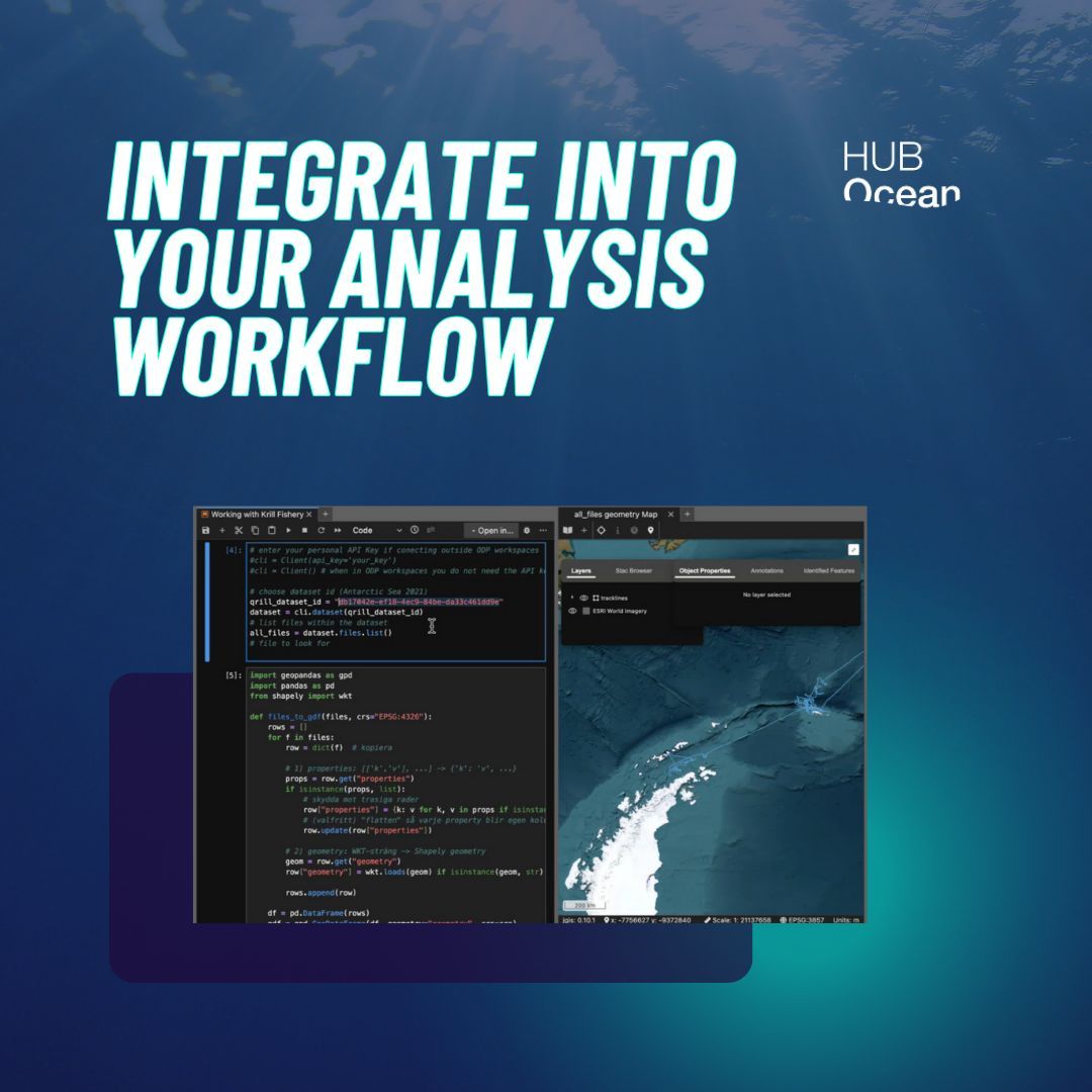 HUB Ocean tweet media