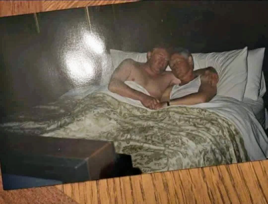 الديمقراطي و الجمهوري ، دوله الديا.ثه.