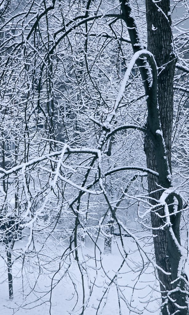 justyna_buszko's tweet photo. @DailyPicTheme2 This is what I saw from my window a few days ago when I woke up in the morning.
#DailyPictureTheme
#ViewFromWindow https://t.co/aVZE3kgkh1