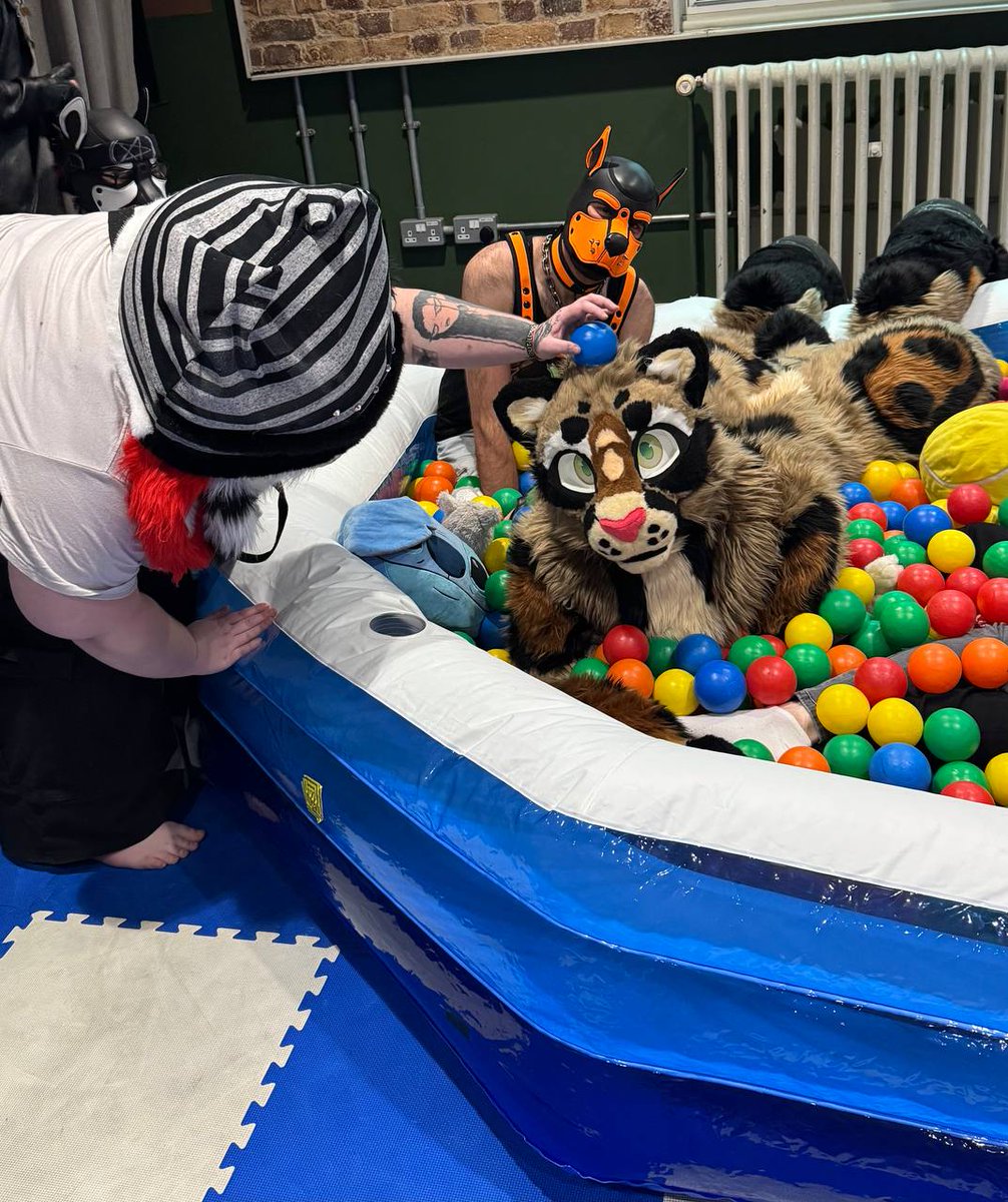 Rune, the Chaos Dog tweet media