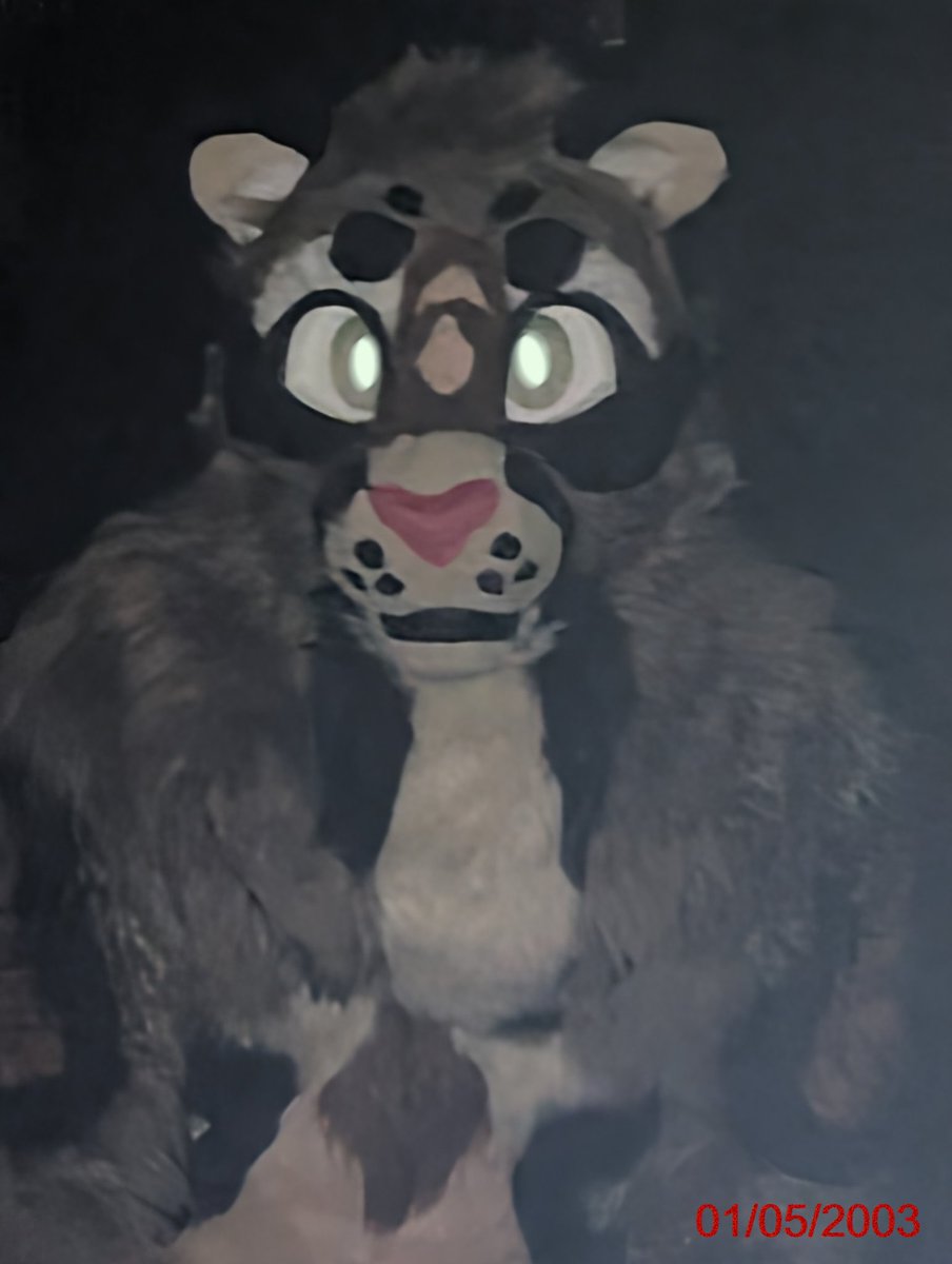 Rune, the Chaos Dog tweet media