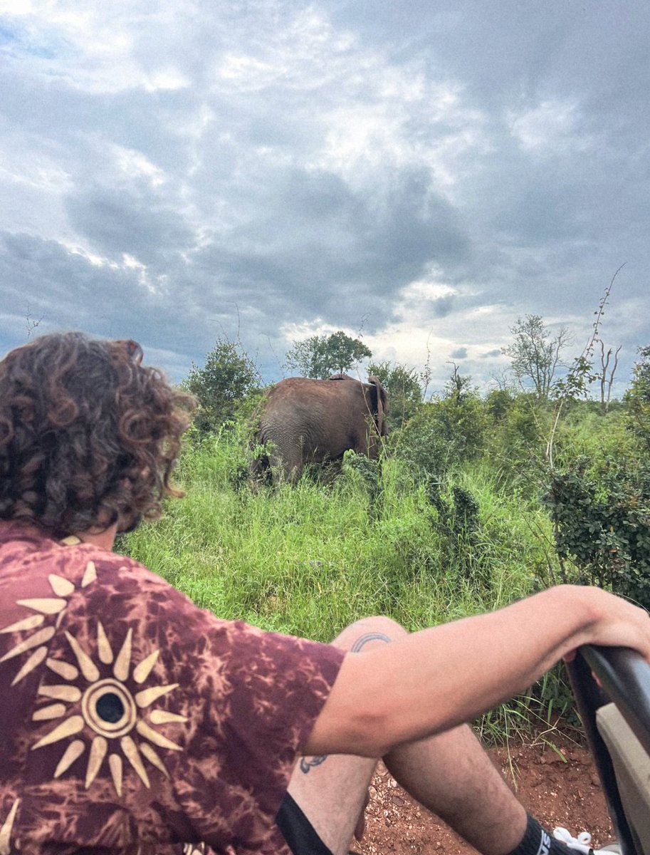 GM my people 🐘 

Don’t forget to step away from the screens. CT will still be here later.