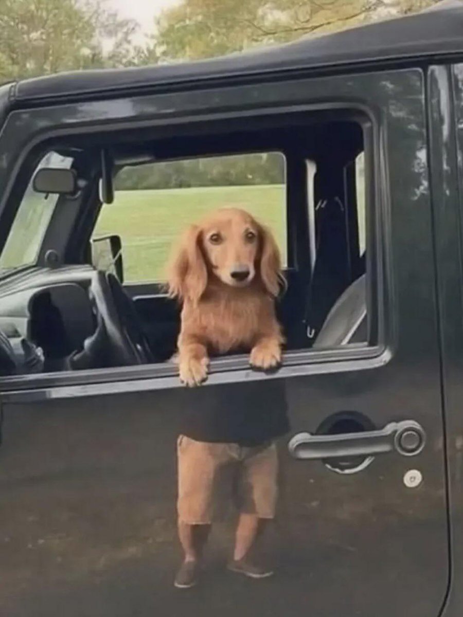 Wholesome Side of 𝕏 tweet media