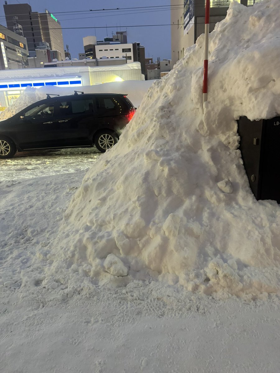 パルプ tweet media