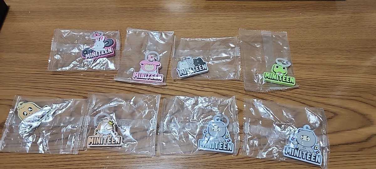 SEVENTEEN セブチ MINITEEN ミニティーン ぷっくりめじるし