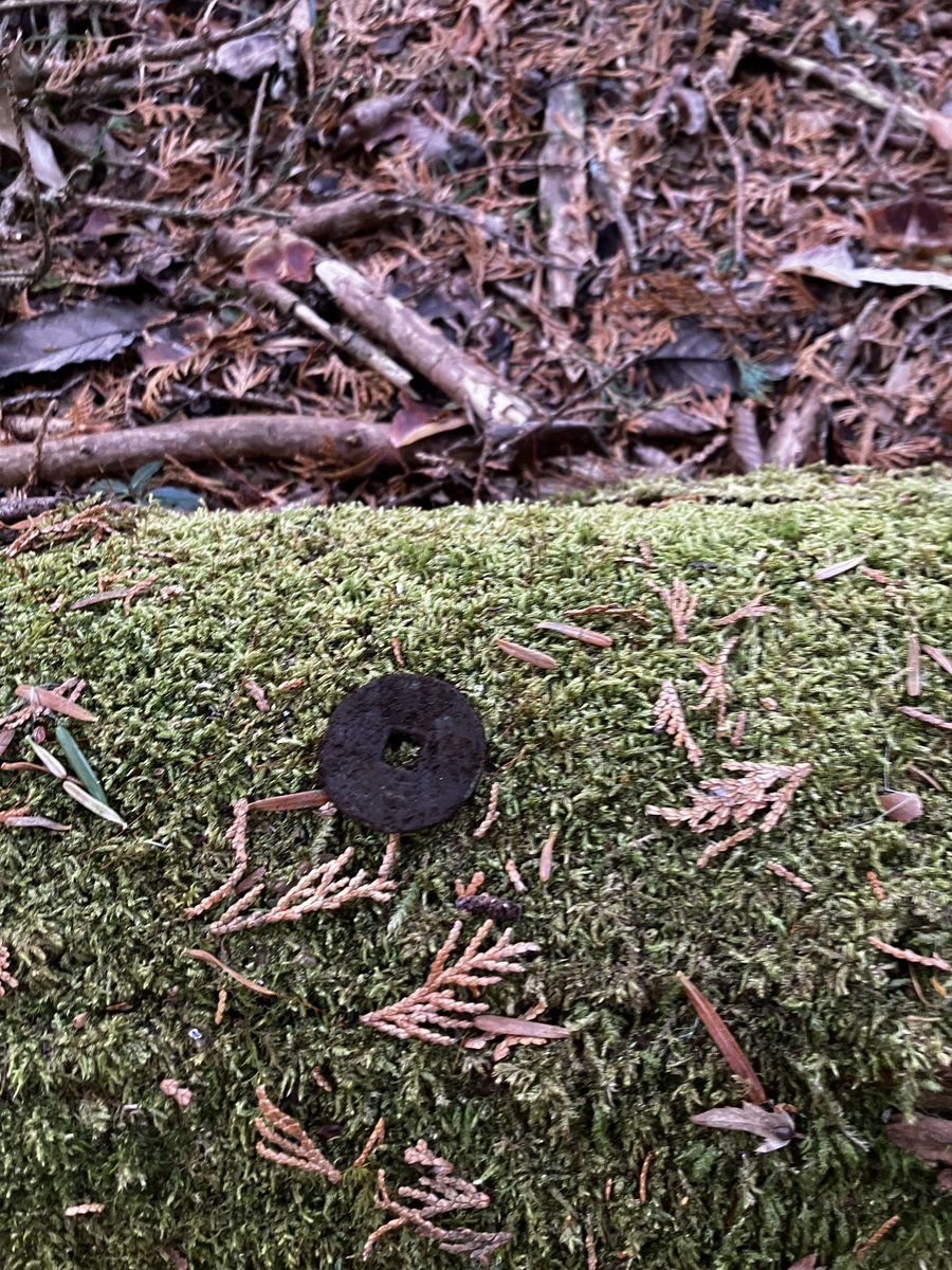 MTJP METAL DETECTING tweet media