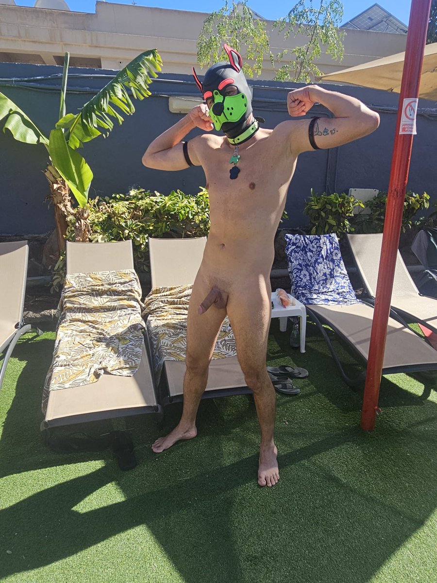 Rax_the_pup NSFW Maspalomas Pride tweet media