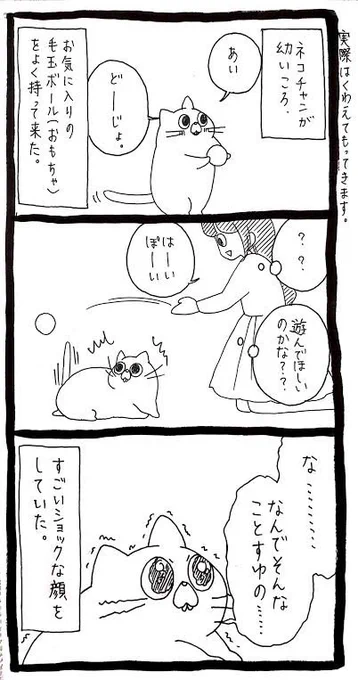 猫にとってのはいどうぞとは 