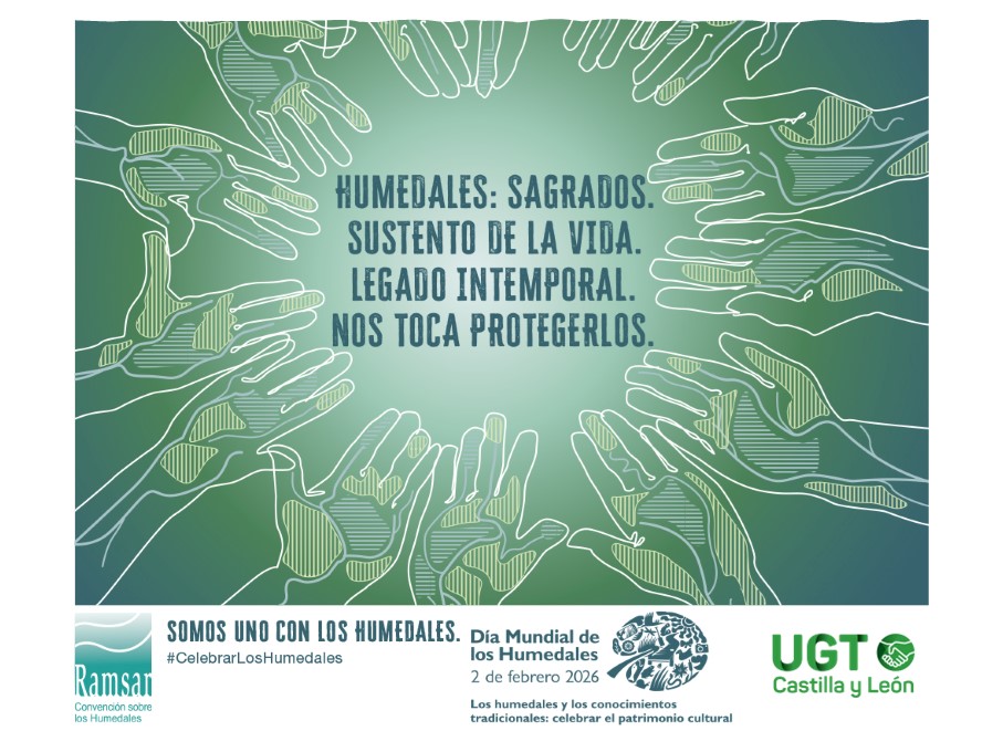 📢Defender los humedales es defender vida, trabajo y territorio. En el #DíaMundialdelosHumedales 💦🐢🦆🌿🦀 exigimos protección real, gestión pública y respeto a los saberes locales frente al expolio y la desprotección ambiental.
➡️info: medioambiente.ugtcyl.es/dia-mundial-de…
#UGTenVERDE💚