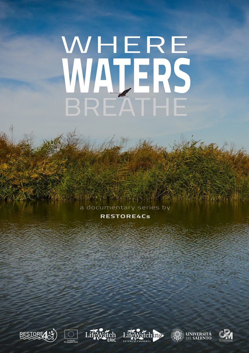 RESTORE4Cs tweet media