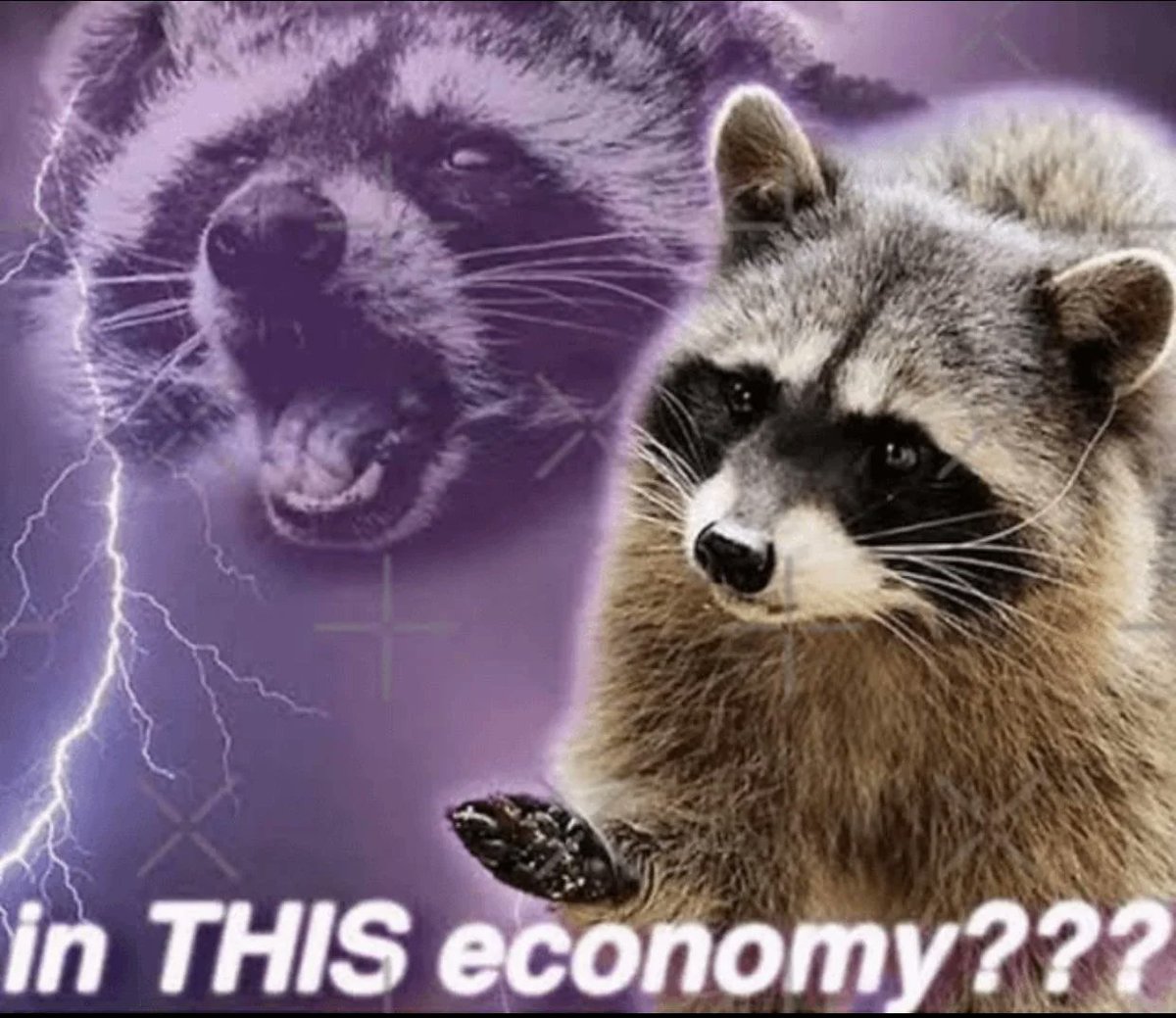 In This Economy tweet media