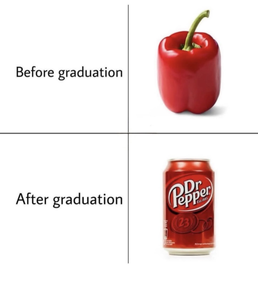 RespectfulMemes's tweet photo. https://t.co/E7YQvzeldU