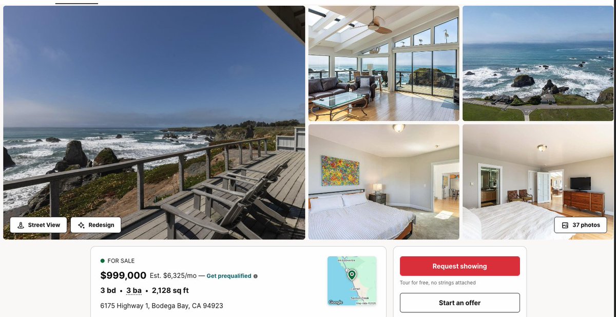 Shannon Jean tweet media