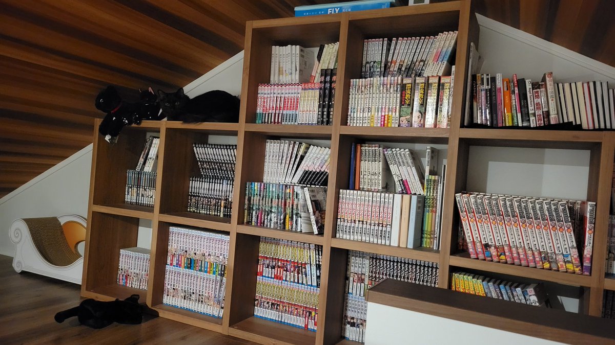 Cococococat7's tweet image. 昨日はプロジェクト発表にリアクションいただきありがとうございました。めちゃくちゃ言いたいこといっぱいあるけど我慢して小出しにしていきます✊

ひとまず一昨日くらいのガッちゃんを探せ！😼