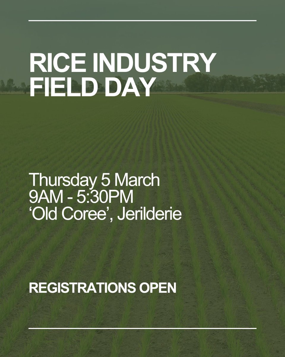 Rice Extension tweet media