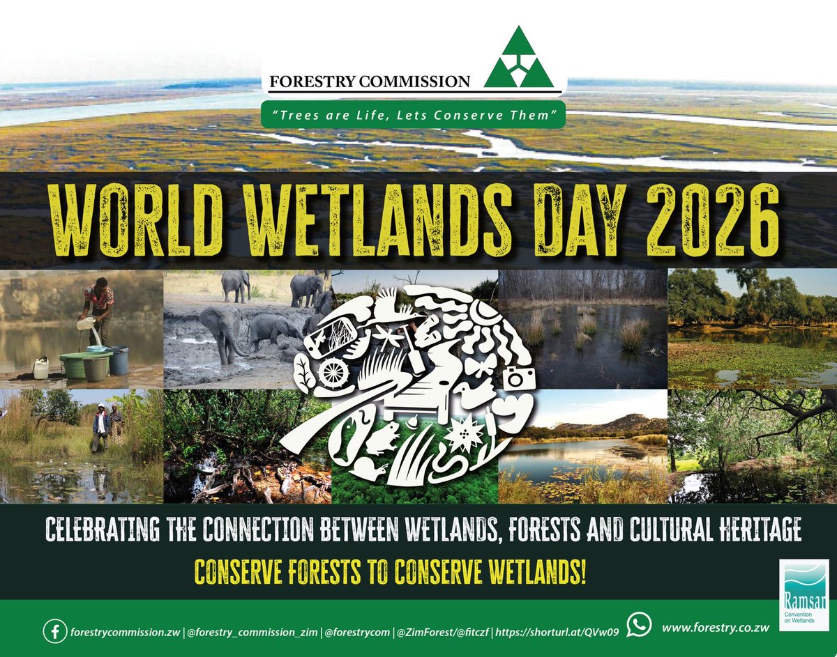 Forestry Commission Zimbabwe tweet media