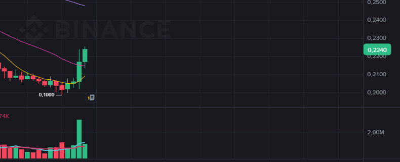 vothaithinh102.{s}omi tweet media