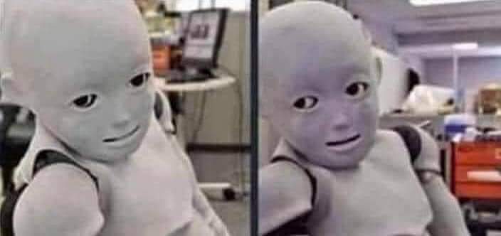 Blind Elephant tweet media