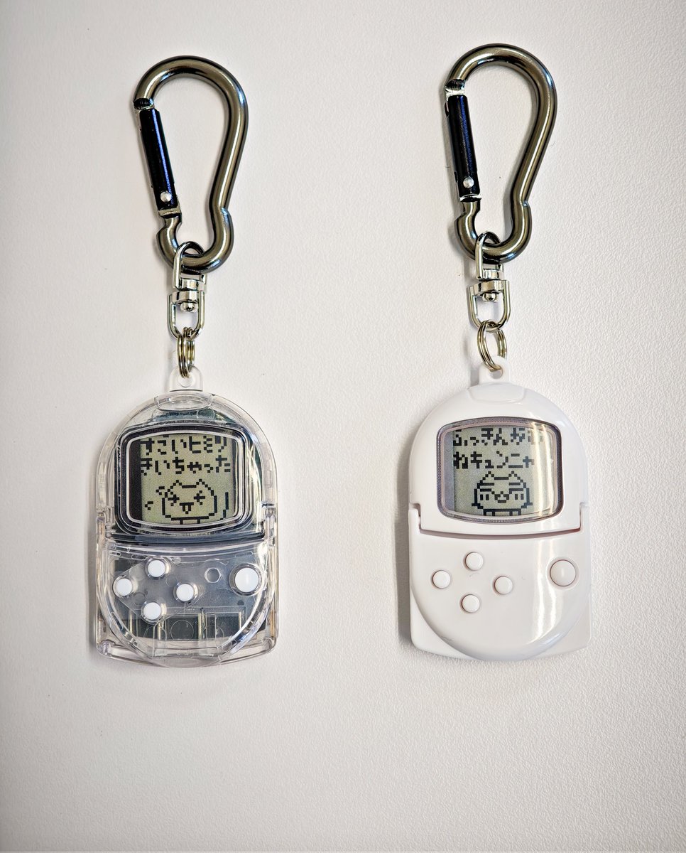 どこでもいっしょ