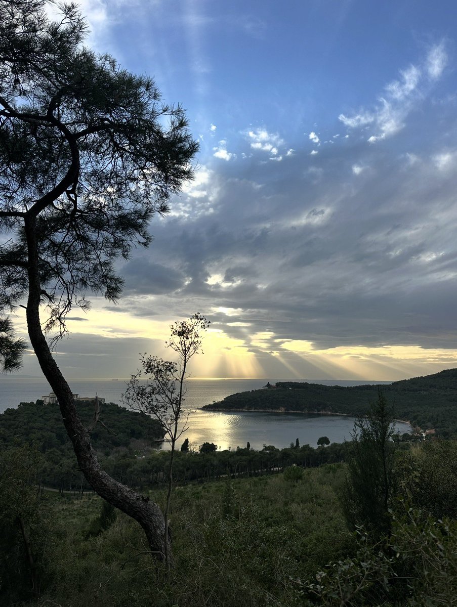 Duyu organlarımız, görür işitir..
Beyin öğrenir
Zihin anlar
Bilinç anlamlandırır

Bilinç; zihnin, yaşamı anlamlandırma ve yaşam tarafından anlamlandırılma sürecidir

Bilinci oluşturan, zihin ve yaşam etkileşimi, ‘yaşantılar’ üzerinden akar

Yaşantılar, yaşamın zihinler ile