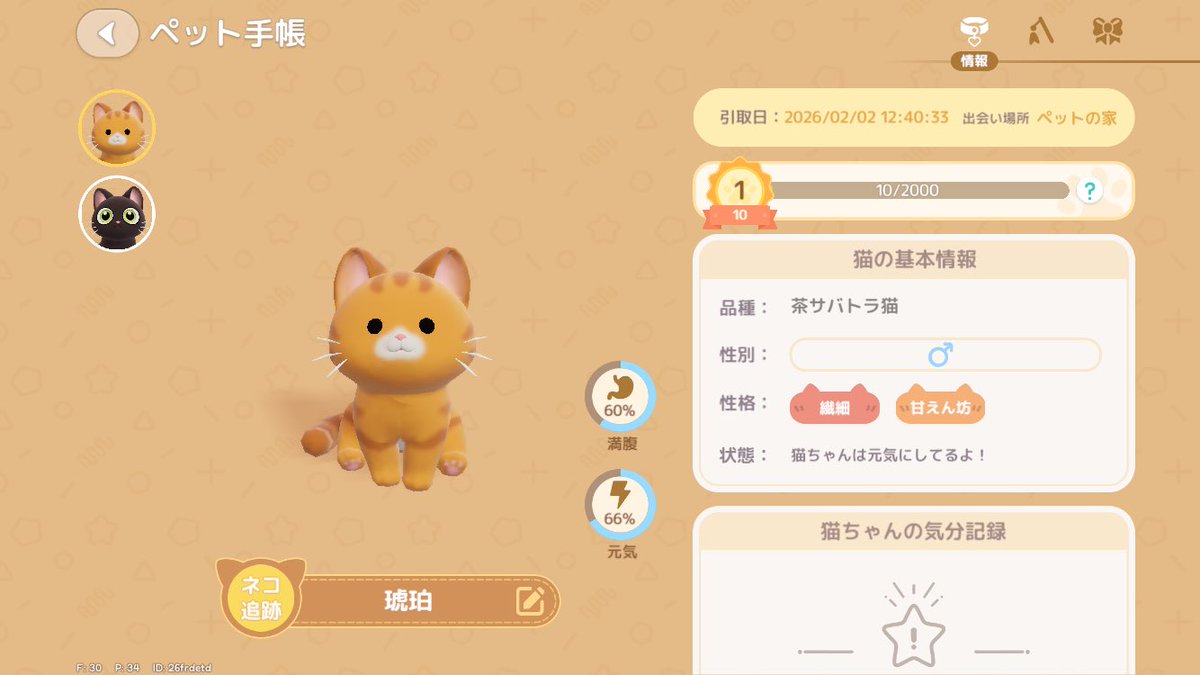 猫ちゃん2匹目を飼いました😊 お目当てのヘタレ目では無いけれど…希望