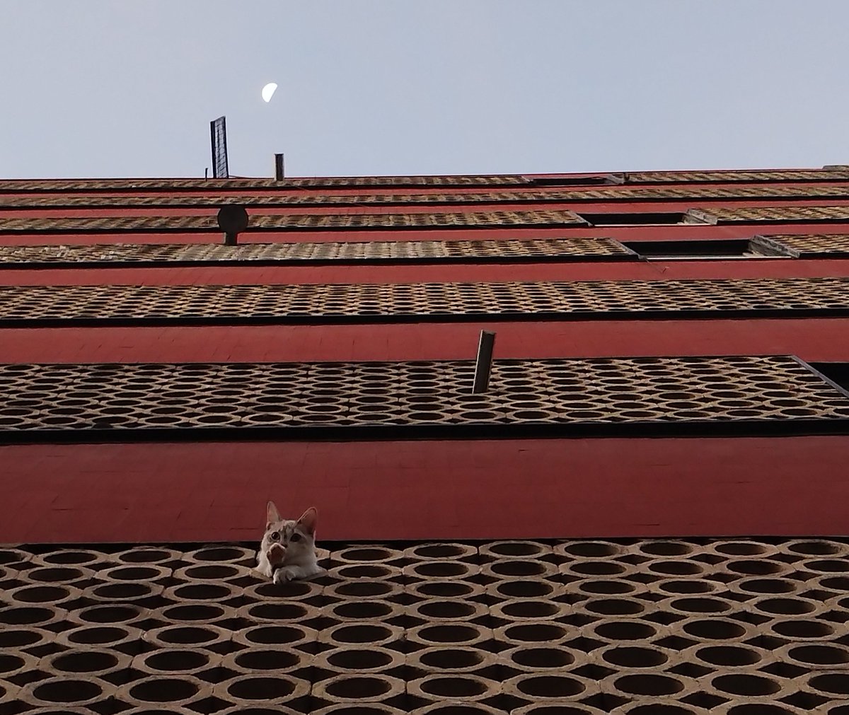 Alejandro Lopez tweet media