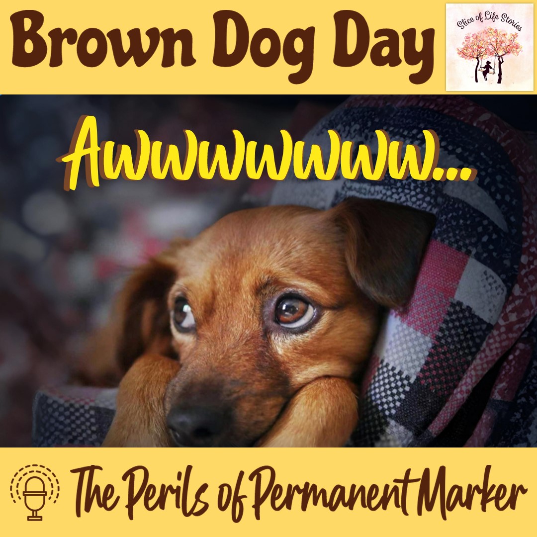 sliceoflife466's tweet photo. Brown Dog Day with 🎙 The Perils of Permanent Marker
▶ https://t.co/YWbjTUdJpD
#perilsofpermanentmarker #fashionable #retirement #dogs #doglovers #visitors #wagging #trust #tears #memories #wife #stranger #browndogday #browndogs #doglife #dog #adoptdontshop #cutedogs #puppy https://t.co/A0LsFjqYEl