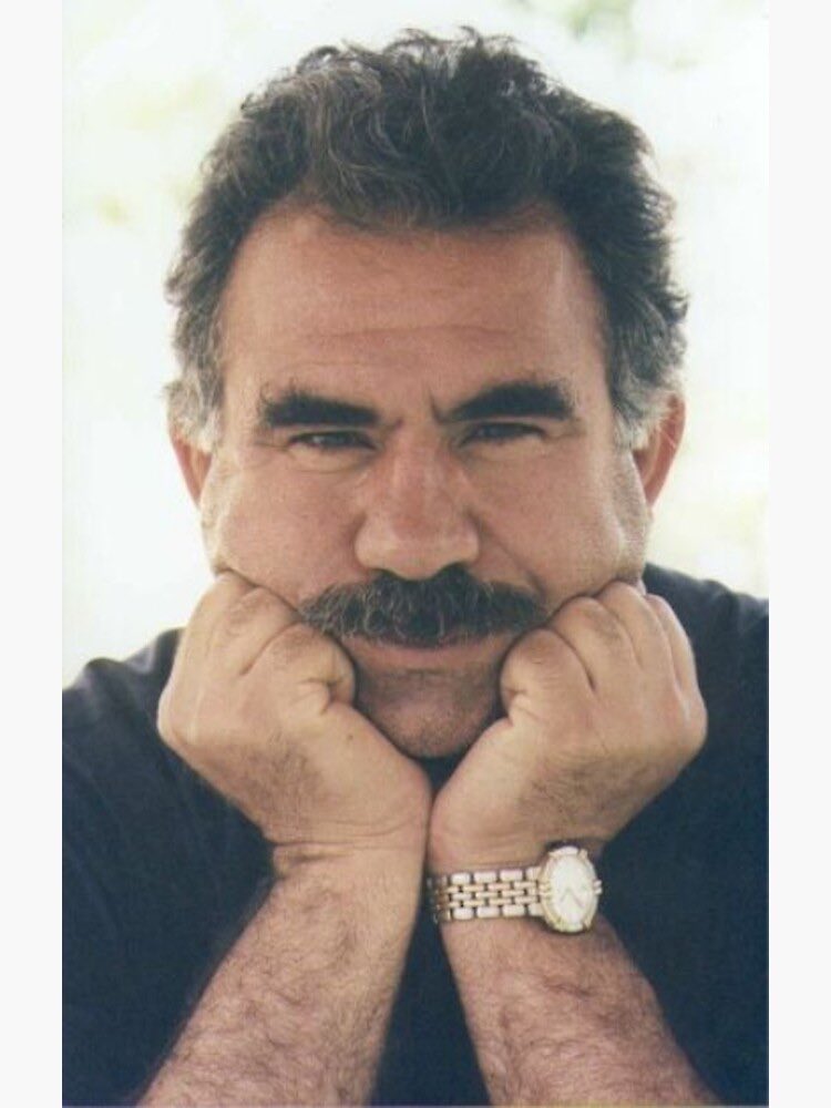 drct_ms's tweet photo. Let us not forget Abdullah Öcalan, the despicable rapist and child molester whose name does not appear in the Jeffrey Epstein files. The enemy of morality who made Arabs, Persians, and Turks democratic with the blood of the Kurds. https://t.co/n1VlGKAbfl